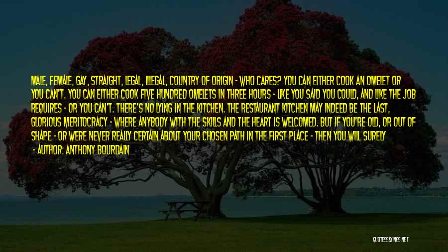 Anthony Bourdain Quotes: Male, Female, Gay, Straight, Legal, Illegal, Country Of Origin - Who Cares? You Can Either Cook An Omelet Or You