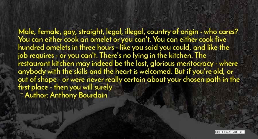 Anthony Bourdain Quotes: Male, Female, Gay, Straight, Legal, Illegal, Country Of Origin - Who Cares? You Can Either Cook An Omelet Or You