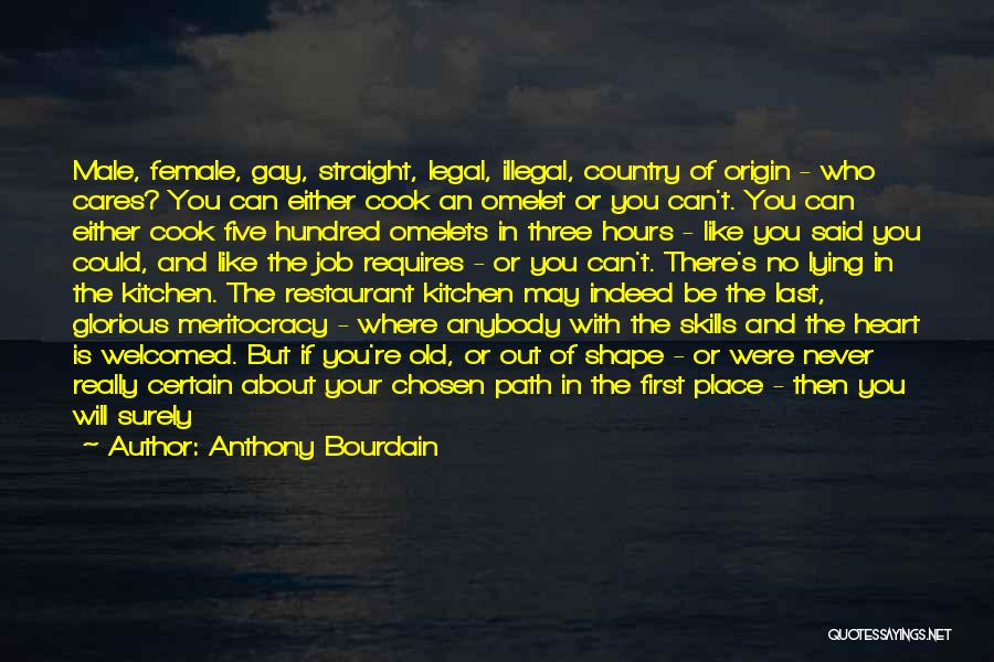Anthony Bourdain Quotes: Male, Female, Gay, Straight, Legal, Illegal, Country Of Origin - Who Cares? You Can Either Cook An Omelet Or You