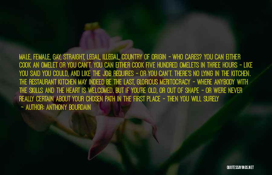 Anthony Bourdain Quotes: Male, Female, Gay, Straight, Legal, Illegal, Country Of Origin - Who Cares? You Can Either Cook An Omelet Or You