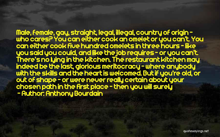 Anthony Bourdain Quotes: Male, Female, Gay, Straight, Legal, Illegal, Country Of Origin - Who Cares? You Can Either Cook An Omelet Or You