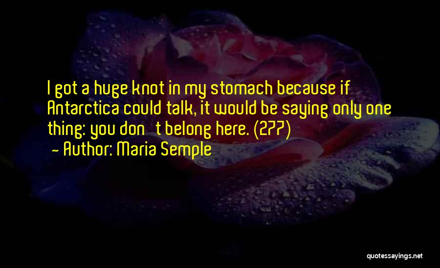 Maria Semple Quotes: I Got A Huge Knot In My Stomach Because If Antarctica Could Talk, It Would Be Saying Only One Thing: