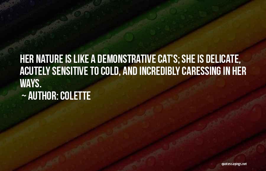 Colette Quotes: Her Nature Is Like A Demonstrative Cat's; She Is Delicate, Acutely Sensitive To Cold, And Incredibly Caressing In Her Ways.