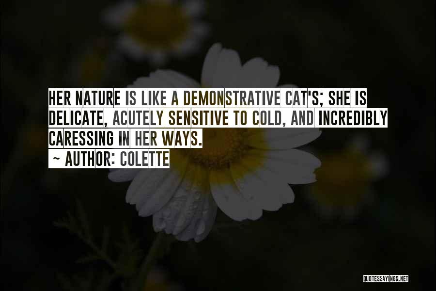 Colette Quotes: Her Nature Is Like A Demonstrative Cat's; She Is Delicate, Acutely Sensitive To Cold, And Incredibly Caressing In Her Ways.