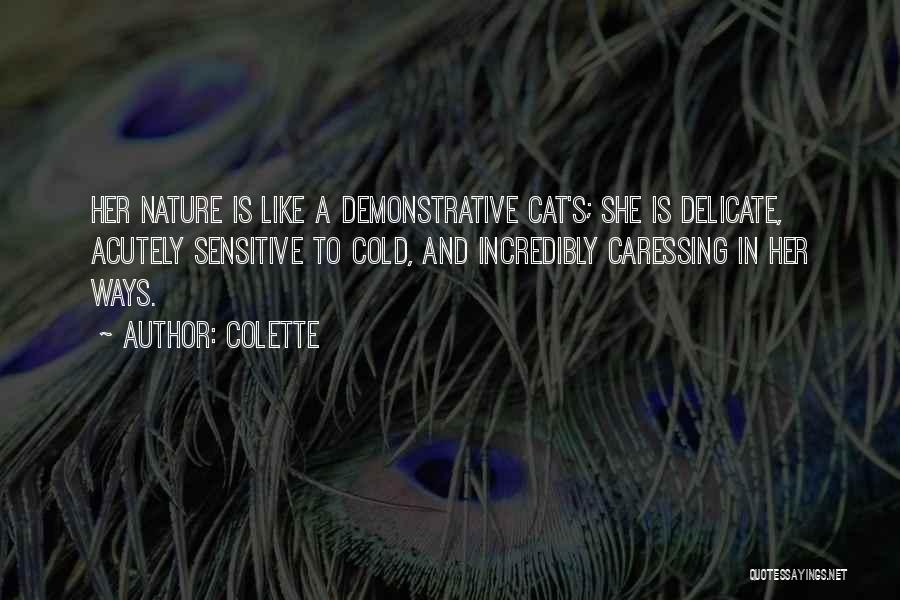 Colette Quotes: Her Nature Is Like A Demonstrative Cat's; She Is Delicate, Acutely Sensitive To Cold, And Incredibly Caressing In Her Ways.