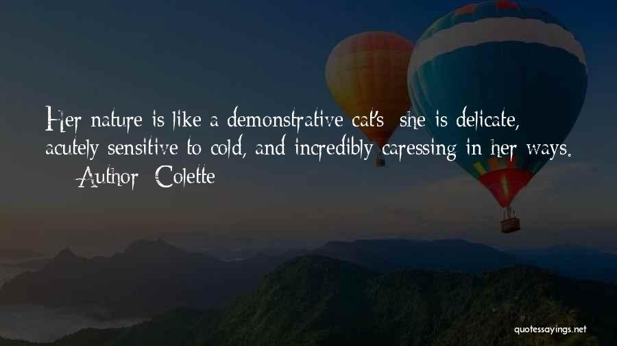 Colette Quotes: Her Nature Is Like A Demonstrative Cat's; She Is Delicate, Acutely Sensitive To Cold, And Incredibly Caressing In Her Ways.