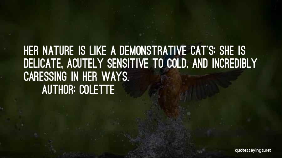 Colette Quotes: Her Nature Is Like A Demonstrative Cat's; She Is Delicate, Acutely Sensitive To Cold, And Incredibly Caressing In Her Ways.