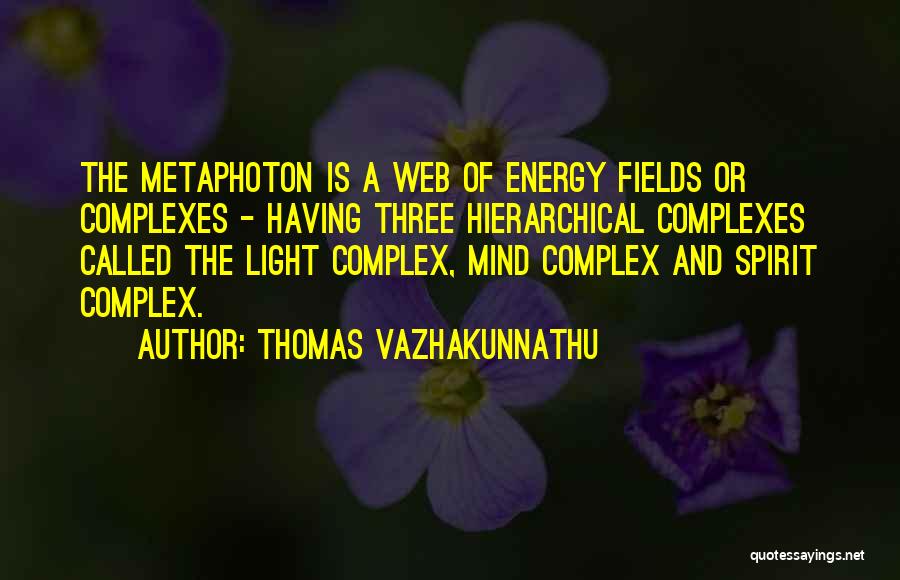 Thomas Vazhakunnathu Quotes: The Metaphoton Is A Web Of Energy Fields Or Complexes - Having Three Hierarchical Complexes Called The Light Complex, Mind