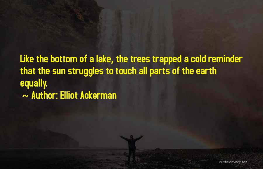 Elliot Ackerman Quotes: Like The Bottom Of A Lake, The Trees Trapped A Cold Reminder That The Sun Struggles To Touch All Parts