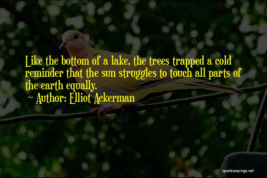 Elliot Ackerman Quotes: Like The Bottom Of A Lake, The Trees Trapped A Cold Reminder That The Sun Struggles To Touch All Parts