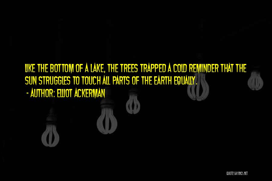 Elliot Ackerman Quotes: Like The Bottom Of A Lake, The Trees Trapped A Cold Reminder That The Sun Struggles To Touch All Parts