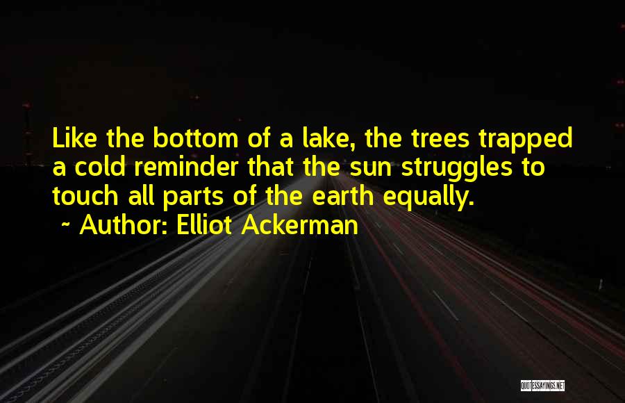 Elliot Ackerman Quotes: Like The Bottom Of A Lake, The Trees Trapped A Cold Reminder That The Sun Struggles To Touch All Parts