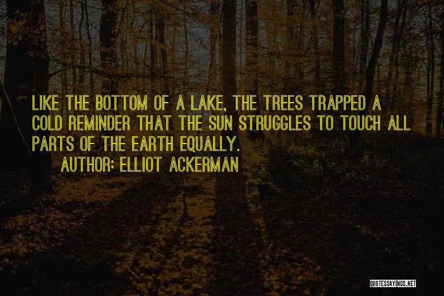 Elliot Ackerman Quotes: Like The Bottom Of A Lake, The Trees Trapped A Cold Reminder That The Sun Struggles To Touch All Parts