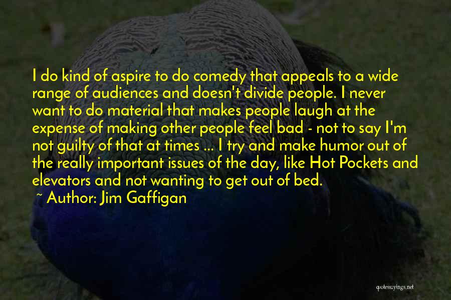 Jim Gaffigan Quotes: I Do Kind Of Aspire To Do Comedy That Appeals To A Wide Range Of Audiences And Doesn't Divide People.