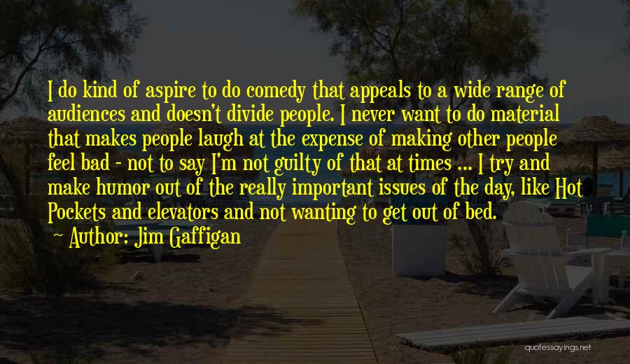 Jim Gaffigan Quotes: I Do Kind Of Aspire To Do Comedy That Appeals To A Wide Range Of Audiences And Doesn't Divide People.