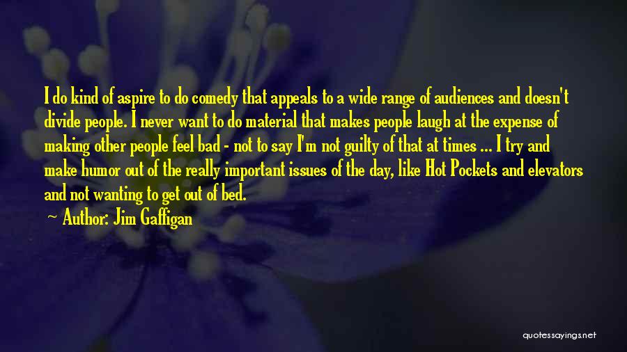 Jim Gaffigan Quotes: I Do Kind Of Aspire To Do Comedy That Appeals To A Wide Range Of Audiences And Doesn't Divide People.