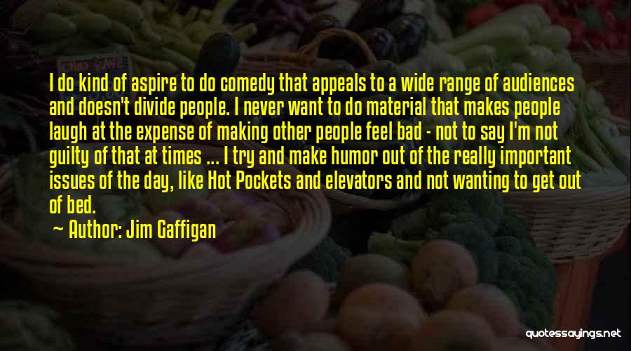 Jim Gaffigan Quotes: I Do Kind Of Aspire To Do Comedy That Appeals To A Wide Range Of Audiences And Doesn't Divide People.