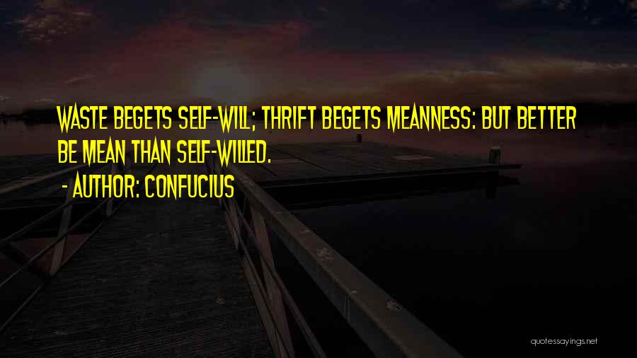 Confucius Quotes: Waste Begets Self-will; Thrift Begets Meanness: But Better Be Mean Than Self-willed.