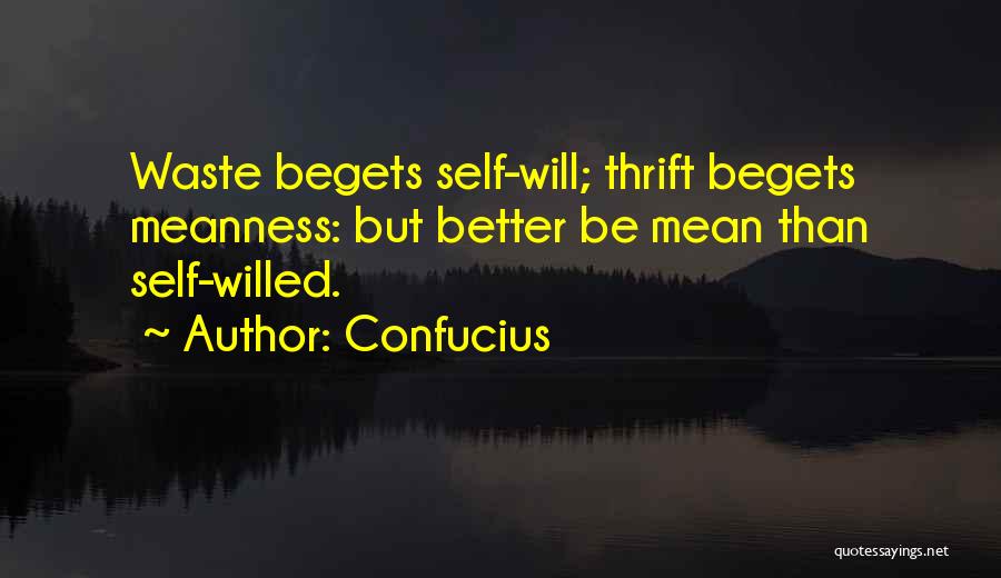 Confucius Quotes: Waste Begets Self-will; Thrift Begets Meanness: But Better Be Mean Than Self-willed.
