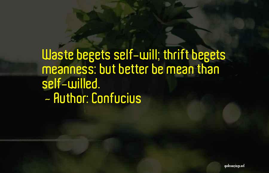 Confucius Quotes: Waste Begets Self-will; Thrift Begets Meanness: But Better Be Mean Than Self-willed.