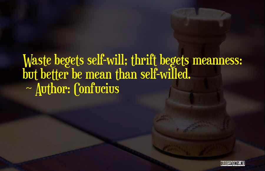 Confucius Quotes: Waste Begets Self-will; Thrift Begets Meanness: But Better Be Mean Than Self-willed.