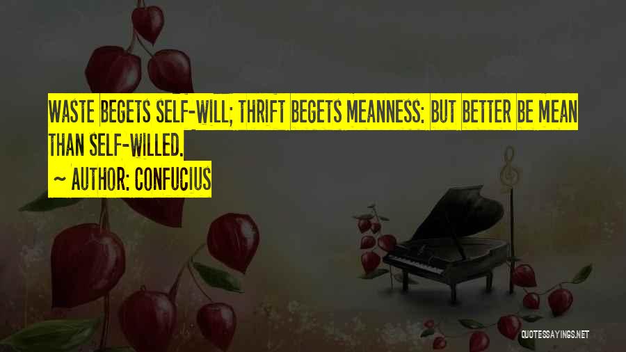 Confucius Quotes: Waste Begets Self-will; Thrift Begets Meanness: But Better Be Mean Than Self-willed.