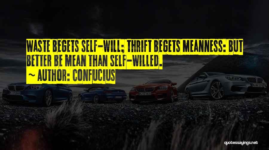Confucius Quotes: Waste Begets Self-will; Thrift Begets Meanness: But Better Be Mean Than Self-willed.