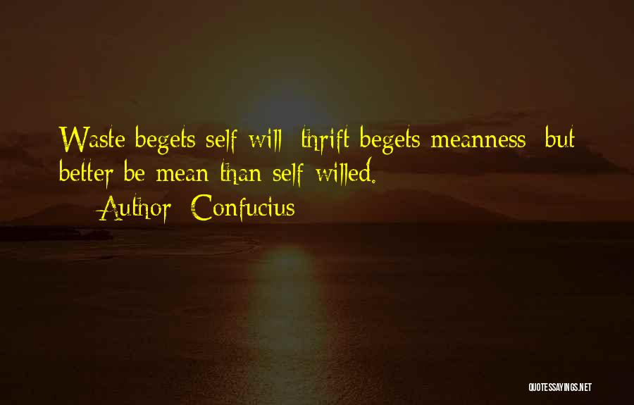 Confucius Quotes: Waste Begets Self-will; Thrift Begets Meanness: But Better Be Mean Than Self-willed.
