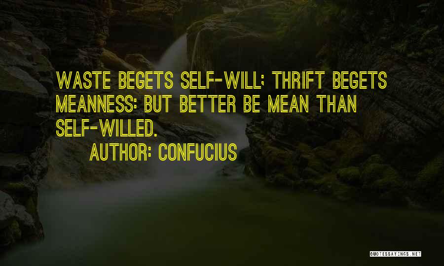 Confucius Quotes: Waste Begets Self-will; Thrift Begets Meanness: But Better Be Mean Than Self-willed.