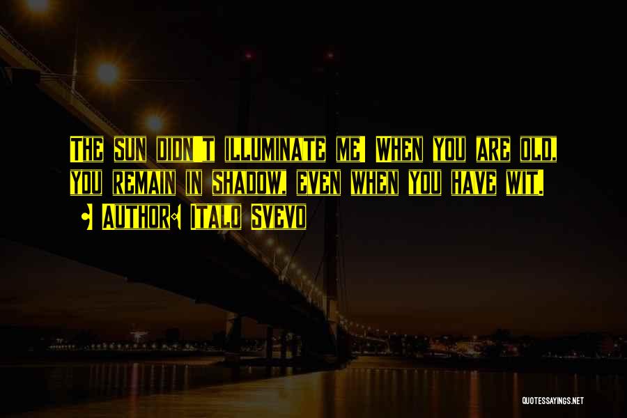 Italo Svevo Quotes: The Sun Didn't Illuminate Me! When You Are Old, You Remain In Shadow, Even When You Have Wit.