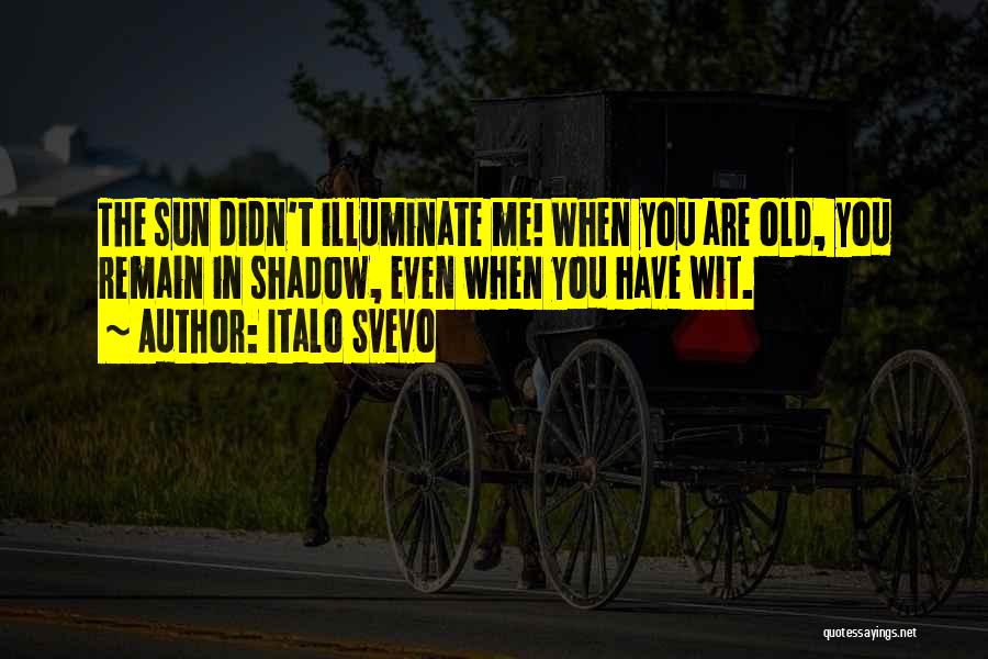 Italo Svevo Quotes: The Sun Didn't Illuminate Me! When You Are Old, You Remain In Shadow, Even When You Have Wit.