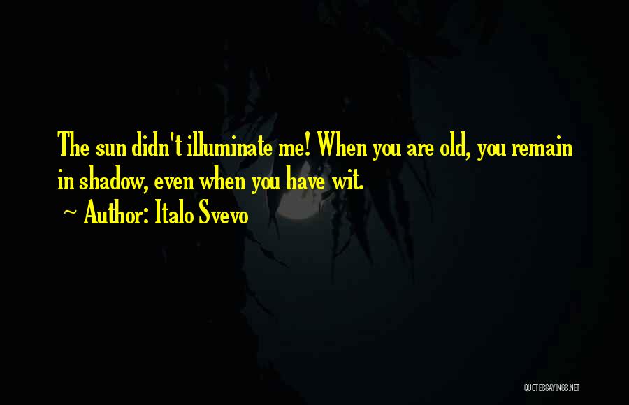 Italo Svevo Quotes: The Sun Didn't Illuminate Me! When You Are Old, You Remain In Shadow, Even When You Have Wit.