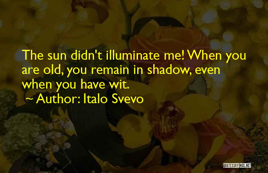 Italo Svevo Quotes: The Sun Didn't Illuminate Me! When You Are Old, You Remain In Shadow, Even When You Have Wit.