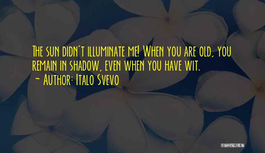 Italo Svevo Quotes: The Sun Didn't Illuminate Me! When You Are Old, You Remain In Shadow, Even When You Have Wit.