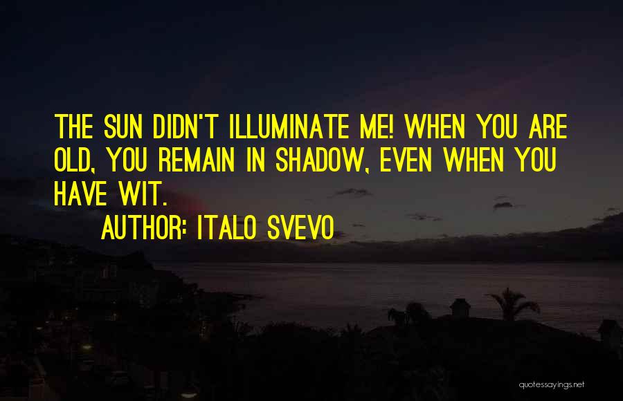 Italo Svevo Quotes: The Sun Didn't Illuminate Me! When You Are Old, You Remain In Shadow, Even When You Have Wit.