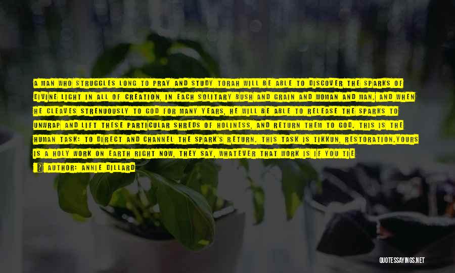 Annie Dillard Quotes: A Man Who Struggles Long To Pray And Study Torah Will Be Able To Discover The Sparks Of Divine Light