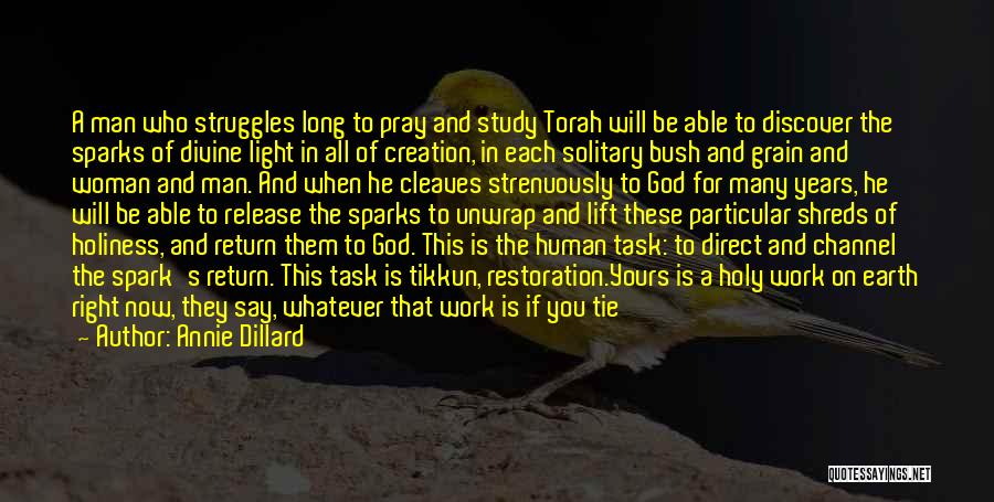 Annie Dillard Quotes: A Man Who Struggles Long To Pray And Study Torah Will Be Able To Discover The Sparks Of Divine Light