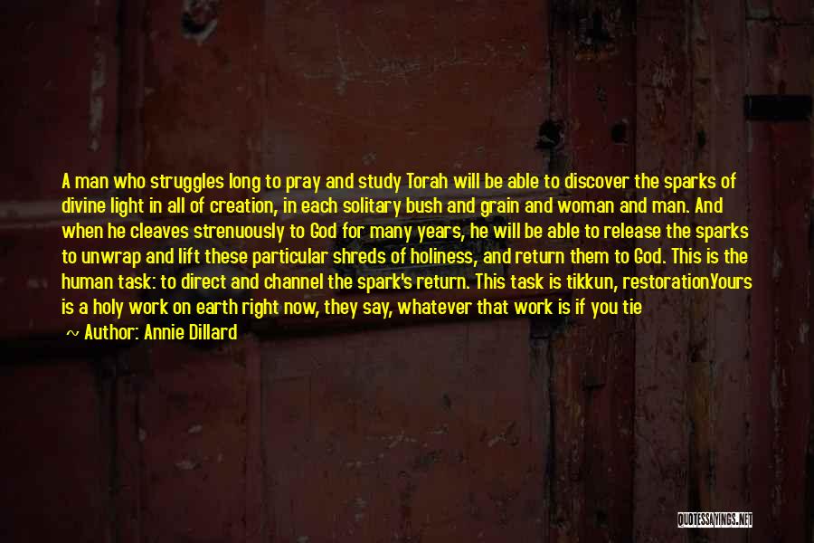 Annie Dillard Quotes: A Man Who Struggles Long To Pray And Study Torah Will Be Able To Discover The Sparks Of Divine Light