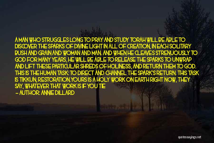 Annie Dillard Quotes: A Man Who Struggles Long To Pray And Study Torah Will Be Able To Discover The Sparks Of Divine Light