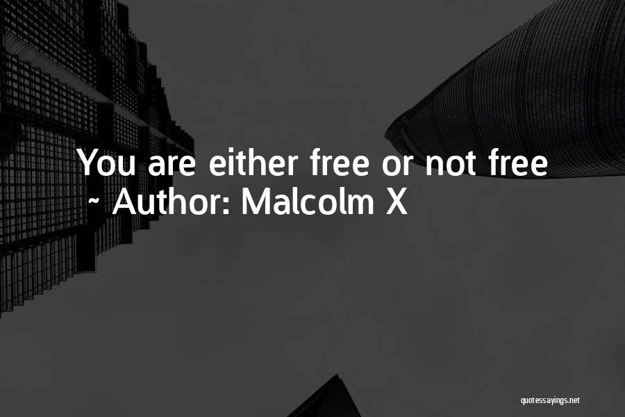Malcolm X Quotes: You Are Either Free Or Not Free