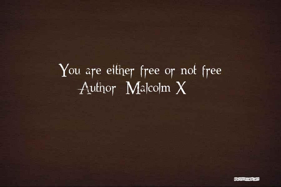 Malcolm X Quotes: You Are Either Free Or Not Free