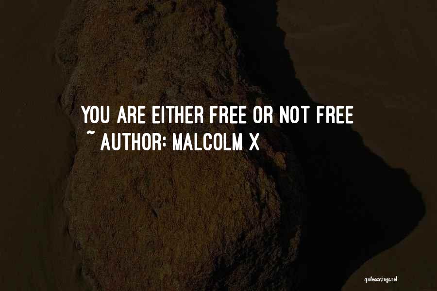 Malcolm X Quotes: You Are Either Free Or Not Free