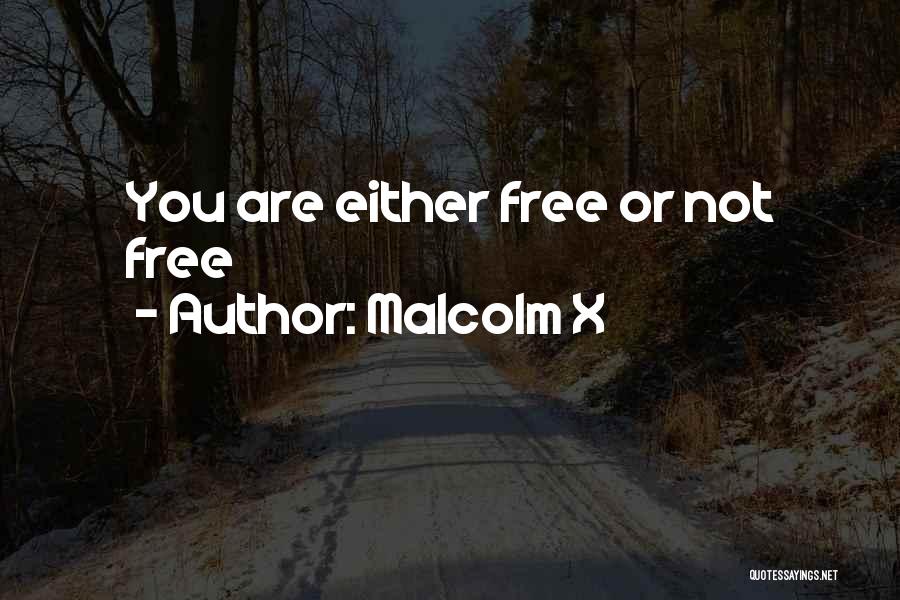 Malcolm X Quotes: You Are Either Free Or Not Free