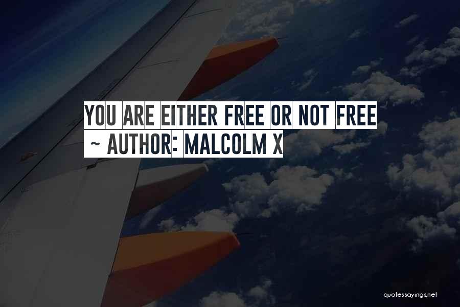 Malcolm X Quotes: You Are Either Free Or Not Free