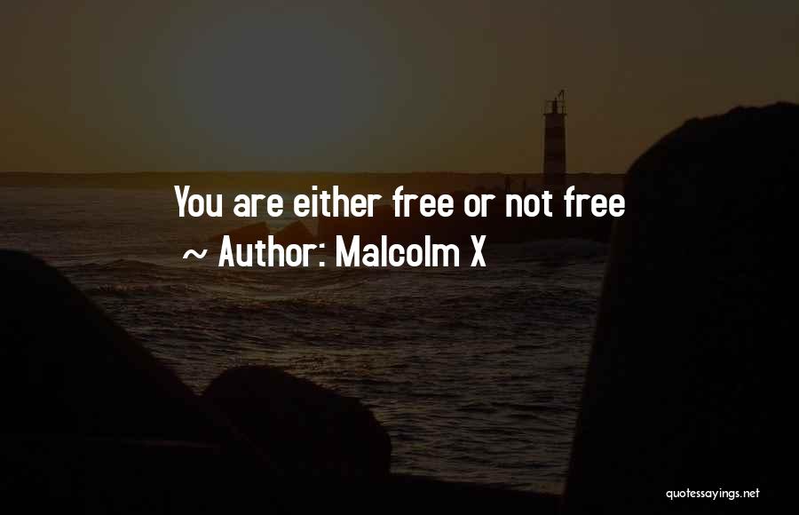 Malcolm X Quotes: You Are Either Free Or Not Free