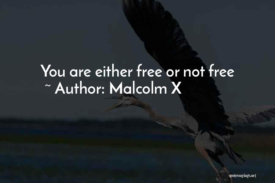Malcolm X Quotes: You Are Either Free Or Not Free