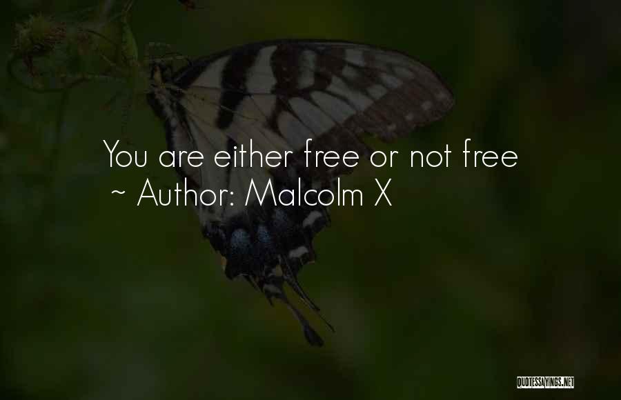 Malcolm X Quotes: You Are Either Free Or Not Free