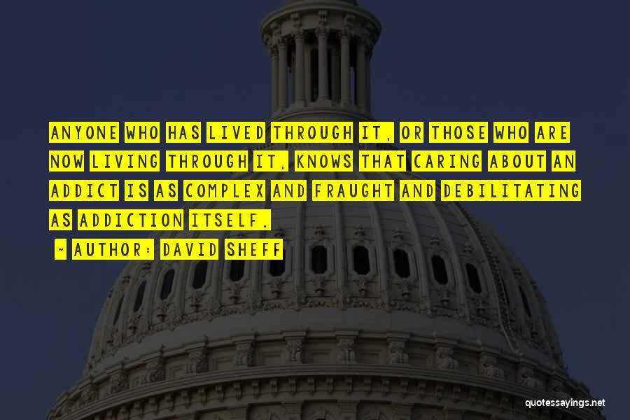 David Sheff Quotes: Anyone Who Has Lived Through It, Or Those Who Are Now Living Through It, Knows That Caring About An Addict