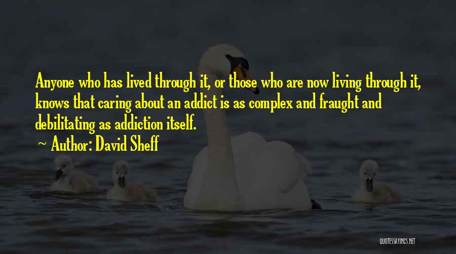 David Sheff Quotes: Anyone Who Has Lived Through It, Or Those Who Are Now Living Through It, Knows That Caring About An Addict