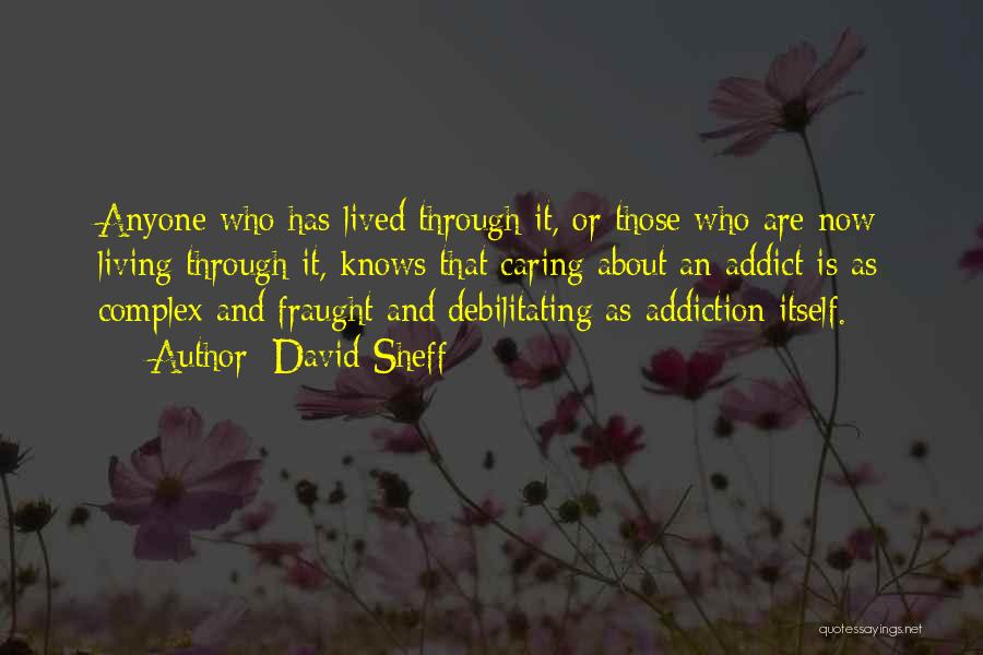 David Sheff Quotes: Anyone Who Has Lived Through It, Or Those Who Are Now Living Through It, Knows That Caring About An Addict